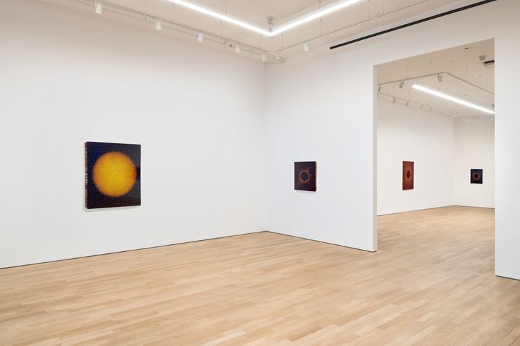 Installation view, Karen Arm: Night Birds, PPOW, 390 Broadway · 2025 (3)
