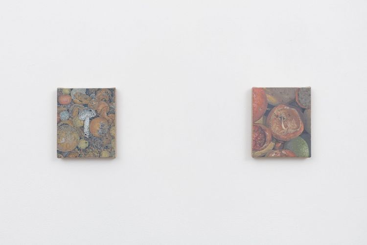 Installation view, Pearl Snap, NOON Projects · 2025 (3)