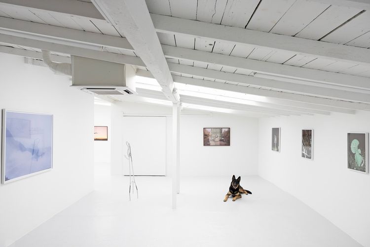 Installation view, Grant Gutierrez: Perfect Pass, GGLA · 2025 (1)