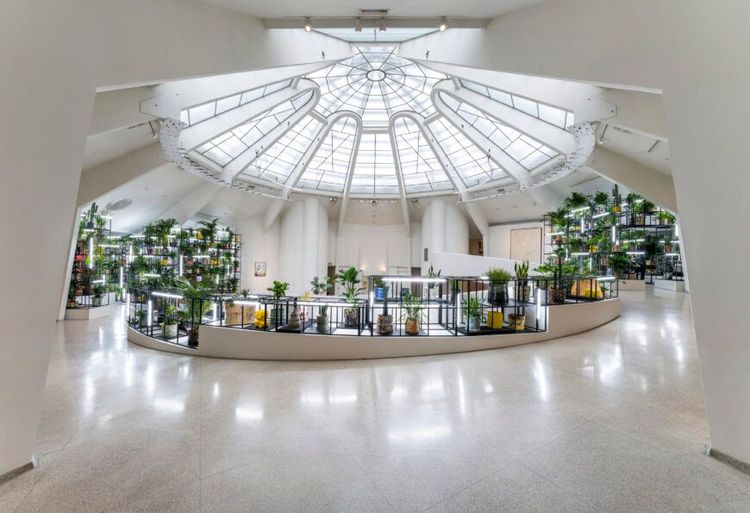 Installation view, A Poem for Deep Thinkers, Guggenheim