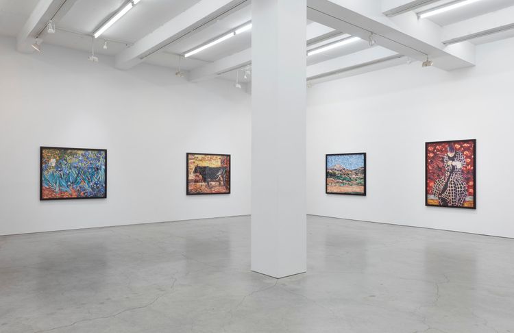 Installation view, Brushstrokes, Sikkema Malloy Jenkins · 2026 (4)