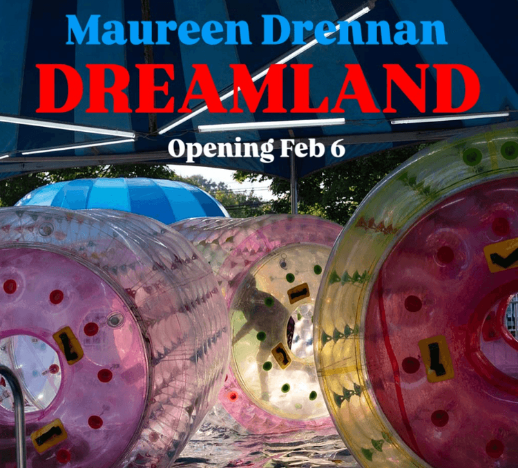Installation view, DREAMLAND, Field Projects