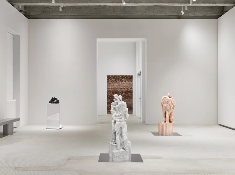 Installation view, Desire Path, Salon 94