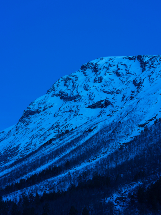 Installation view, A Study of Blue Mountains, Lehmann Maupin, New York