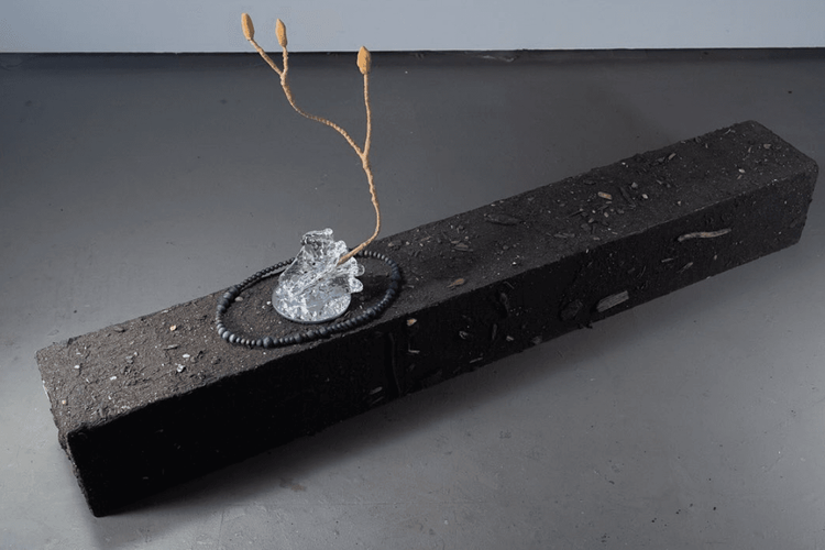 Installation view, When a Tree Falls in the Forest, Kapow