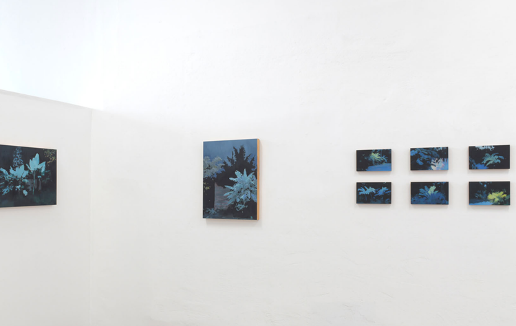 Installation view, Nightglow, Hannah Sloan · 2025 (1)
