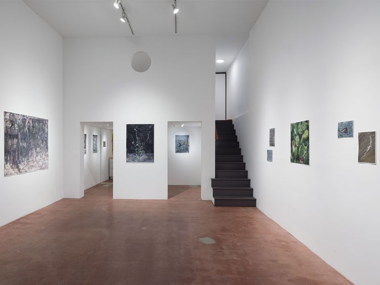 Installation view,  As We Grind Our Teeth To Dust, Track 16, Hollywood · 2026 (2)