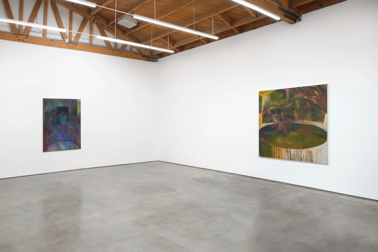 Installation view, Show Me What I Don’t Know, Megan Mulrooney · 2025 (5)