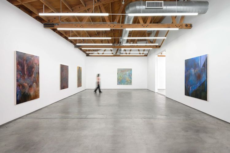 Installation view, Show Me What I Don’t Know, Megan Mulrooney · 2025 (1)