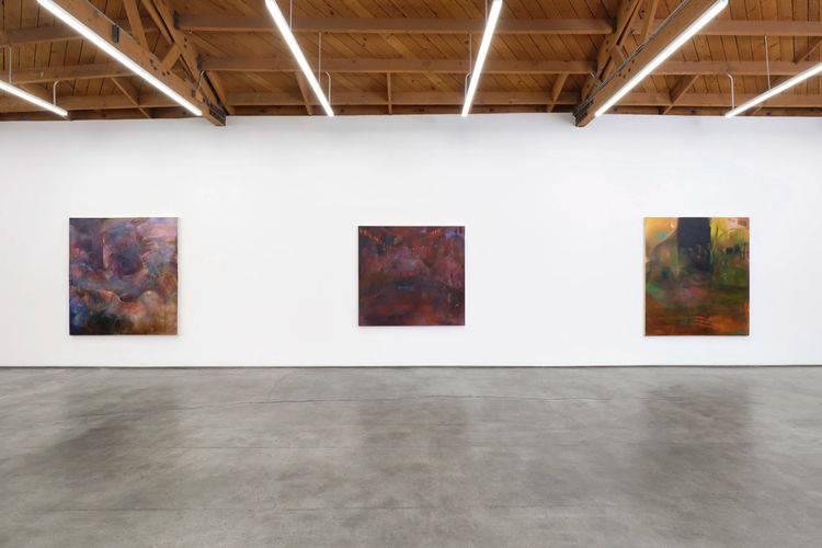 Installation view, Show Me What I Don’t Know, Megan Mulrooney · 2025 (7)