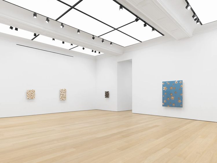 Installation view, Snowflake, Alexander Gray Associates · 2025 (5)