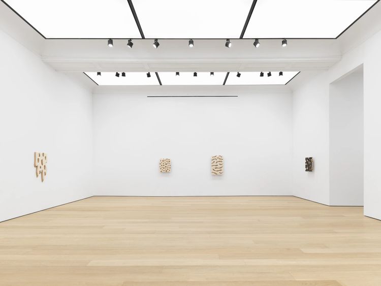 Installation view, Snowflake, Alexander Gray Associates · 2025 (3)