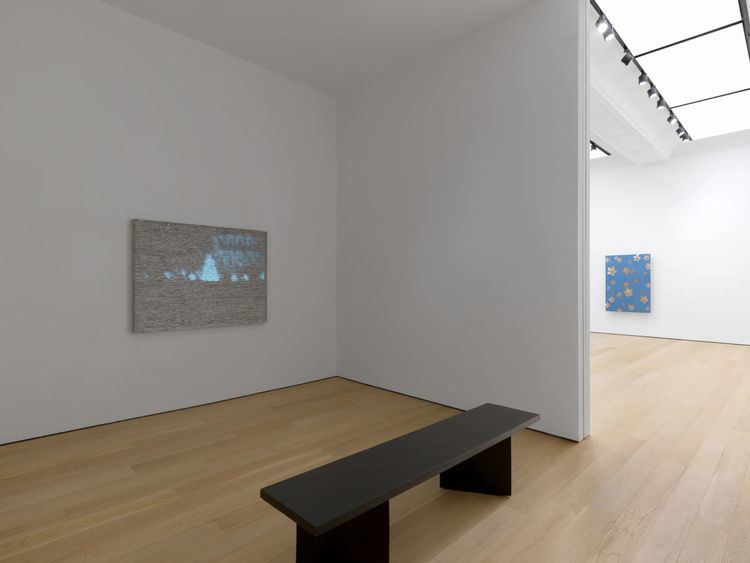 Installation view, Snowflake, Alexander Gray Associates · 2025 (4)