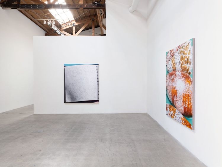 Installation view, Speaking in Translation, Moskowitz Bayse · 2025 (3)