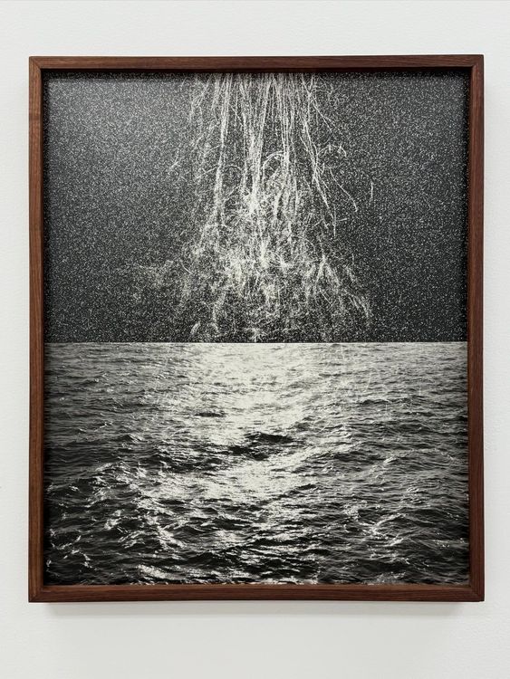 Installation view, Sun Circle Sea, Seasons · 2025 (6)