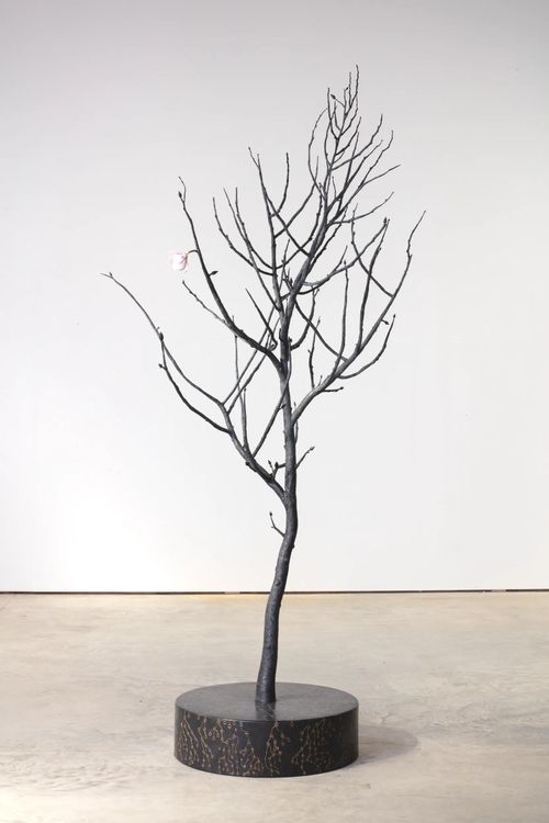 Installation view, The Generative Universe, Hauser & Wirth