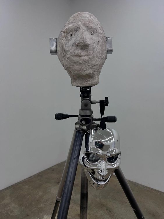 Installation view, Space Film, Gattopardo · 2025 (8)