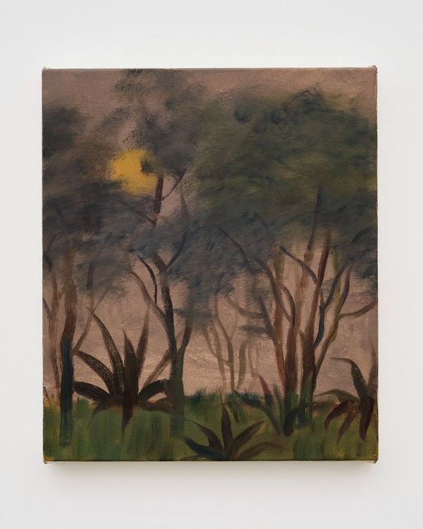 Installation view, Life on Earth, The Pit · 2026 (12)