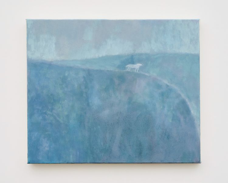Installation view, Life on Earth, The Pit · 2026 (16)