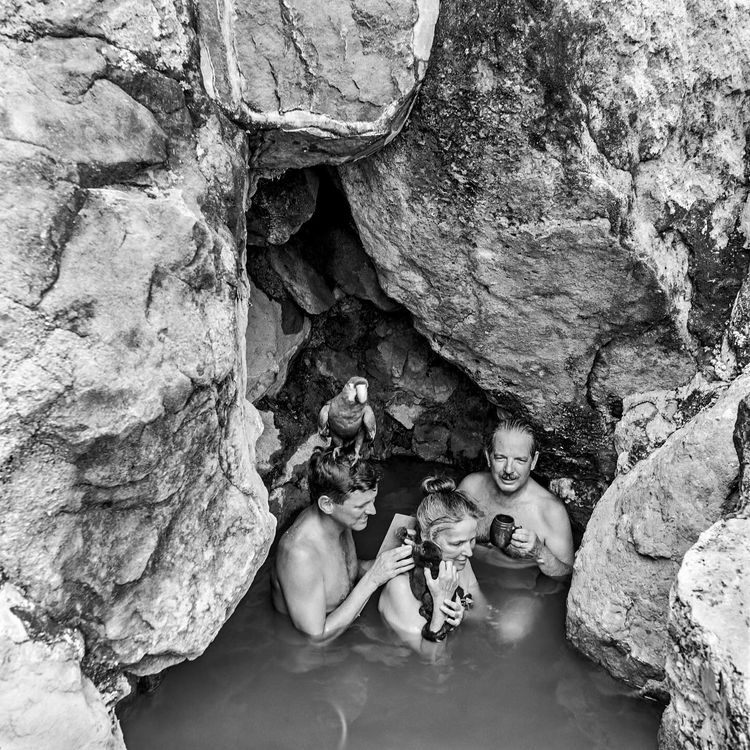 Installation view, The Lams of Ludlow Street, Baxter St at the Camera Club of New York · 2025 (3)