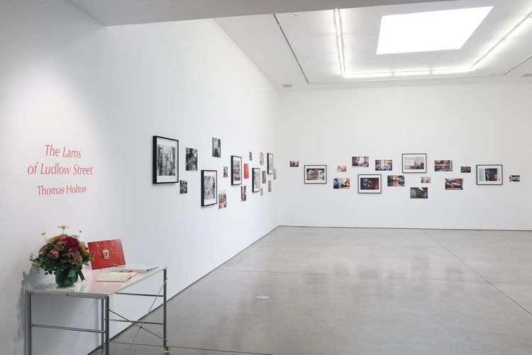 Installation view, The Lams of Ludlow Street, Baxter St at the Camera Club of New York · 2025 (1)