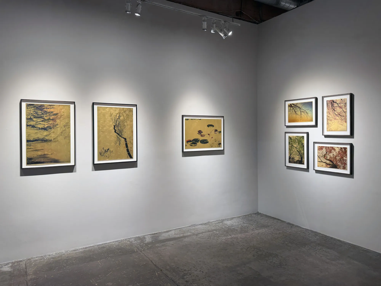 Installation view, Windows to the unexpected, Marshall Gallery · 2026 (3)