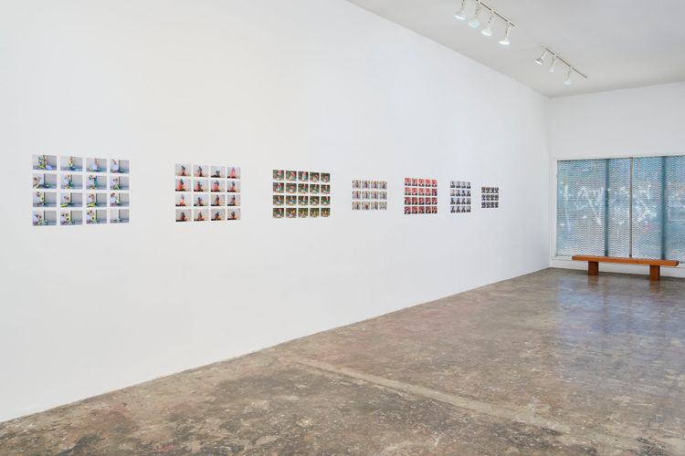 Installation view, Amor Prohibido, Tyler Park Presents · 2026 (6)