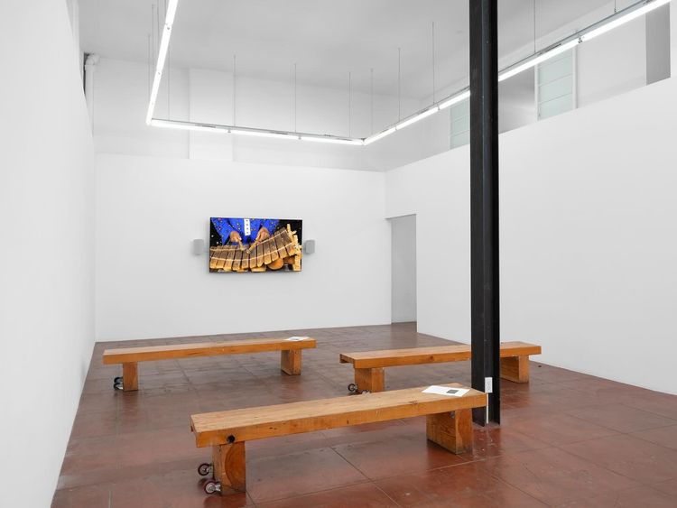 Installation view, New and Recent Videos, As-Is Gallery · 2025 (2)