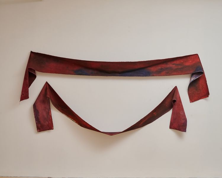 Installation view, Wade in the Water, Superhouse · 2026 (3)