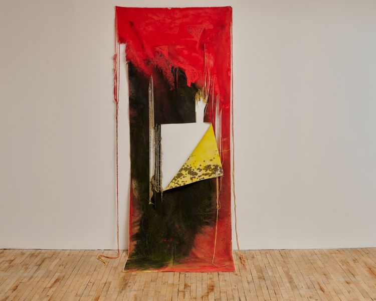 Installation view, Wade in the Water, Superhouse · 2026 (4)