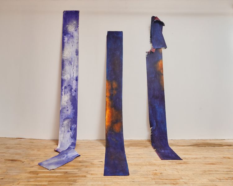 Installation view, Wade in the Water, Superhouse · 2026 (6)