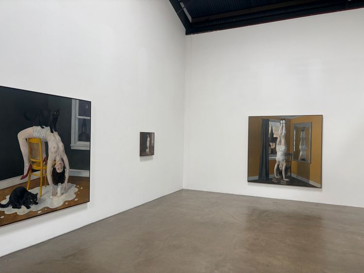 Installation view, Familiars, Richard Heller Gallery · 2026 (4)