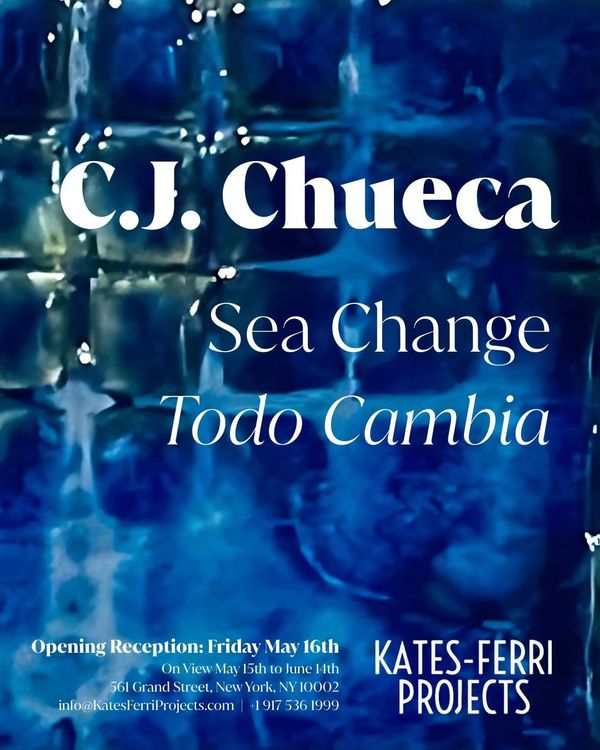Installation view, Sea Change Todo Cambia, Kates-Ferri Projects, 561 Grand Street