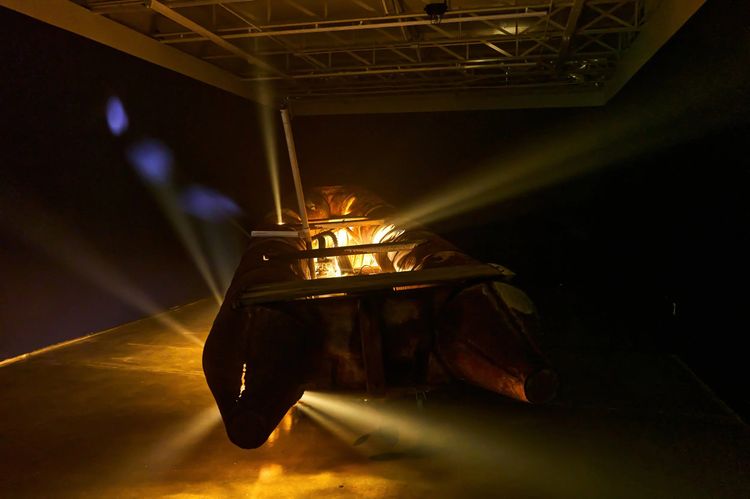 Installation view, Exile, Piero Atchugarry Gallery