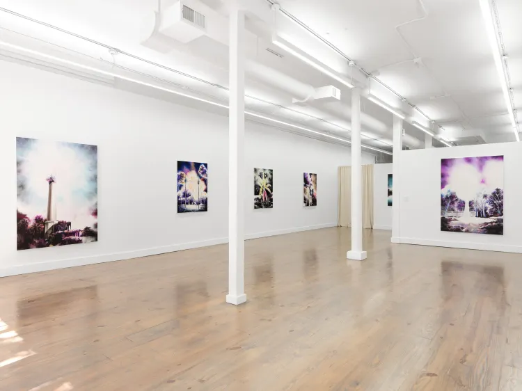 Installation view, A fluorescent realm, Rebecca Camacho Presents