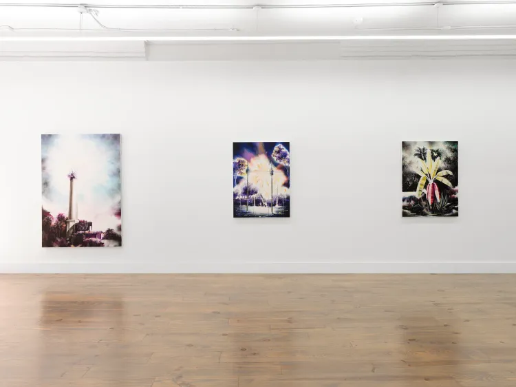 Installation view, A fluorescent realm, Rebecca Camacho Presents · 2026 (2)
