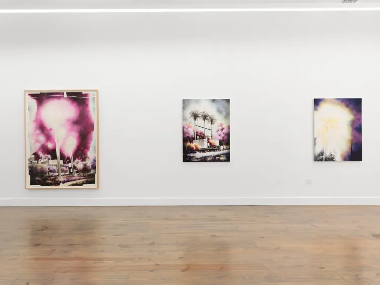 Installation view, A fluorescent realm, Rebecca Camacho Presents · 2026 (4)