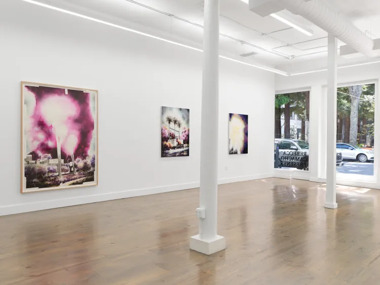 Installation view, A fluorescent realm, Rebecca Camacho Presents · 2026 (5)