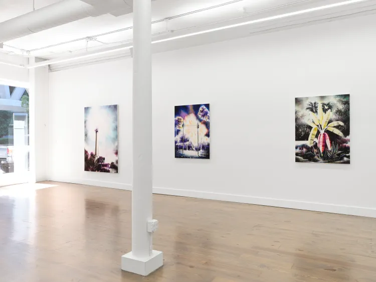 Installation view, A fluorescent realm, Rebecca Camacho Presents · 2026 (6)