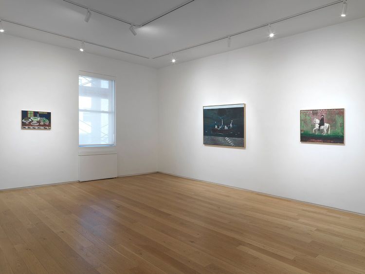 Installation view, Danny Fox: Fata Morgana, Alexander Berggruen, New York, 2026