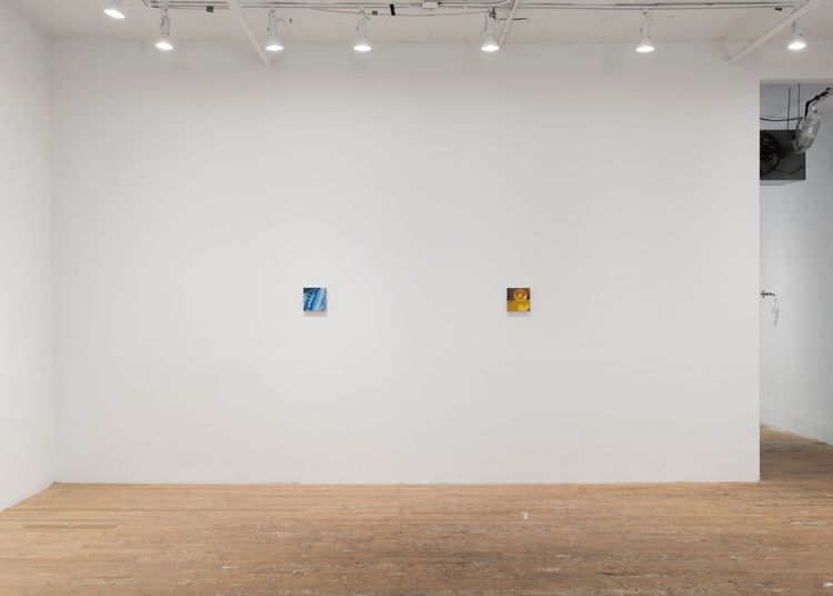 Installation view, Altoon Sultan, Hoffman Donahue · 2026 (12)