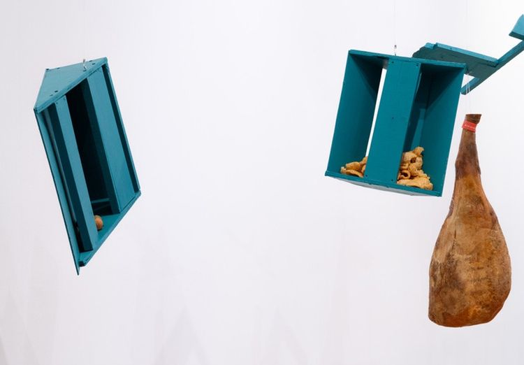 Installation view, Autocontusión, The Bass · 2026 (2)