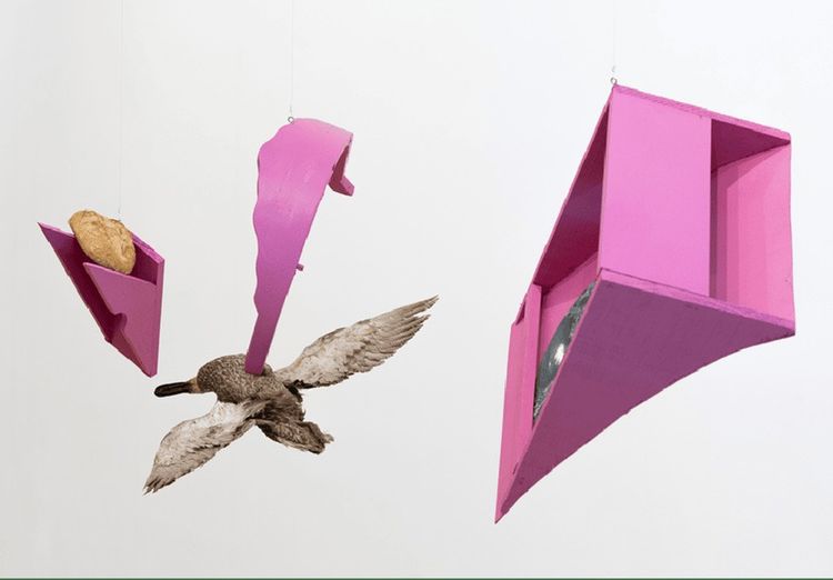 Installation view, Autocontusión, The Bass · 2026 (3)