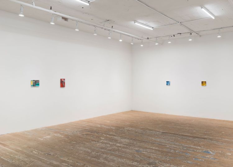 Installation view, Altoon Sultan, Hoffman Donahue · 2026 (10)