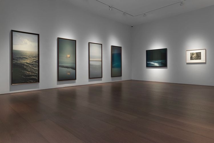 Installation view, After Dark, Flowers · 2025 (1)