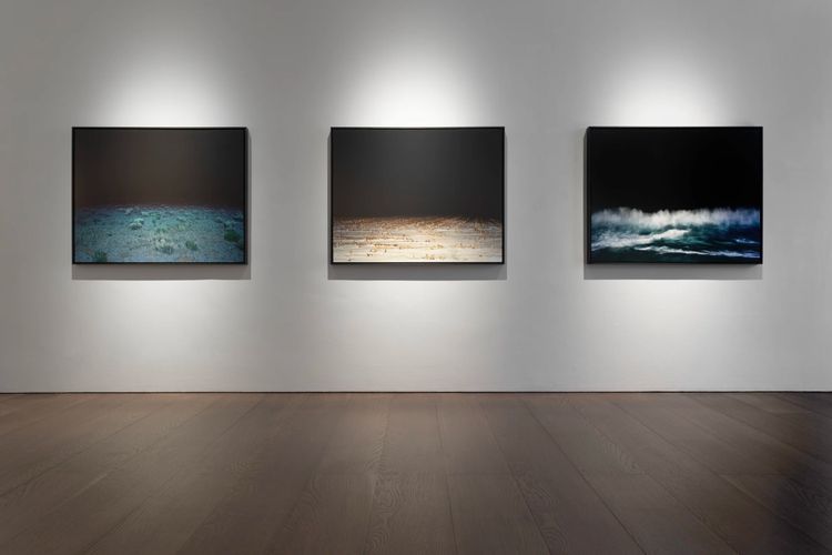 Installation view, After Dark, Flowers · 2025 (4)