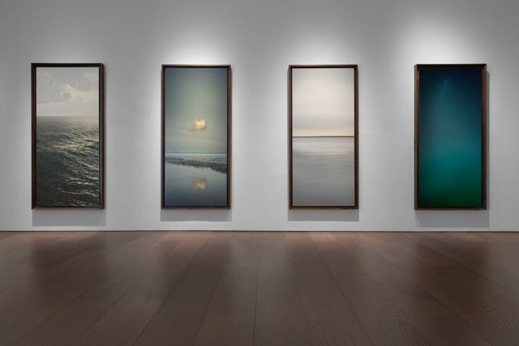 Installation view, After Dark, Flowers · 2025 (2)
