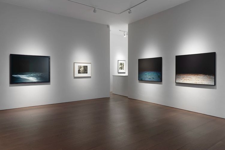 Installation view, After Dark, Flowers · 2025 (3)