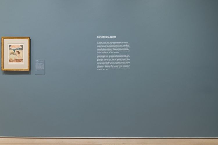 Installation view, After Impressionism, The Art Institute of Chicago · 2026 (4)