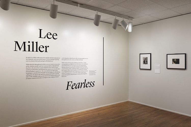 Installation view, Fearless, The Art Institute of Chicago · 2026 (1)